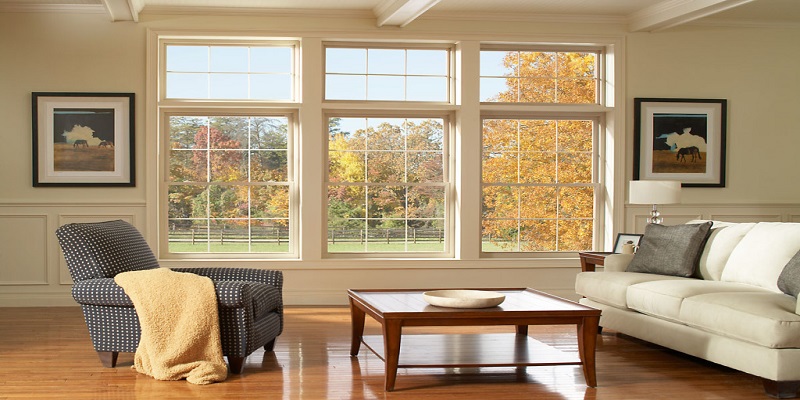 Vinyl Doors and Windows Market - Analysis & Consulting (2019-2025)